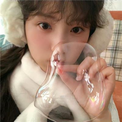 新忠烈图
